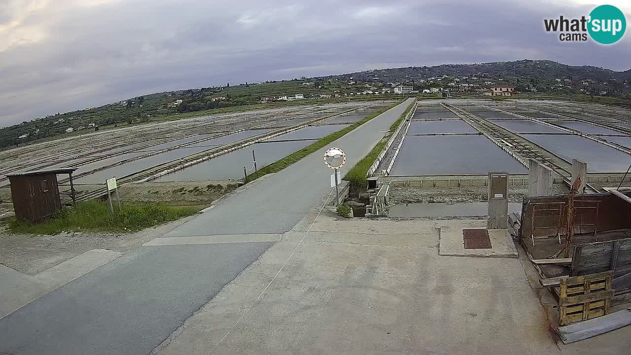 Park prirode Sečovlje Salina