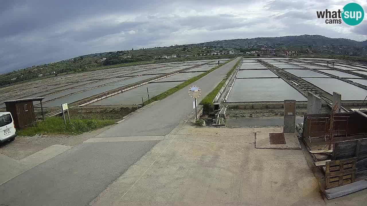 Park prirode Sečovlje Salina