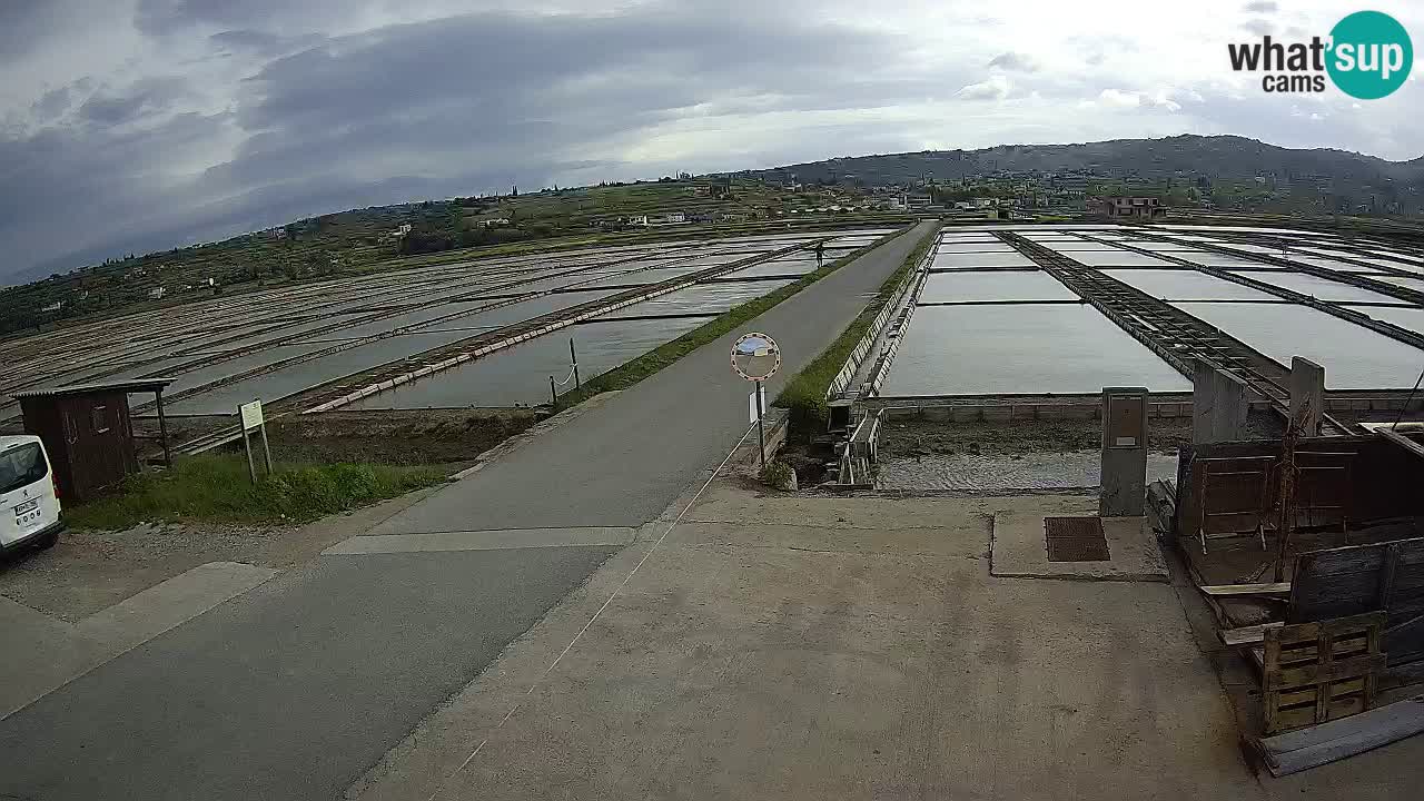 Sečovlje Salina Parque Natural