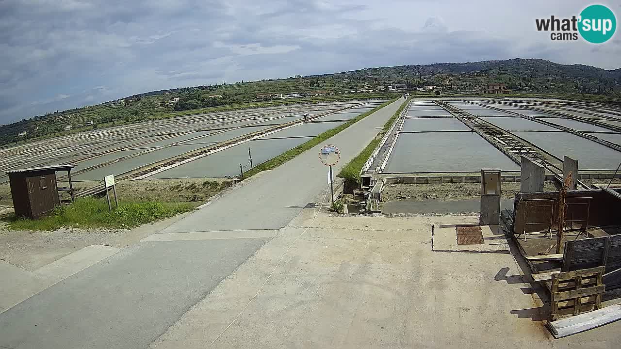 Parco Naturale Saline di Sicciole
