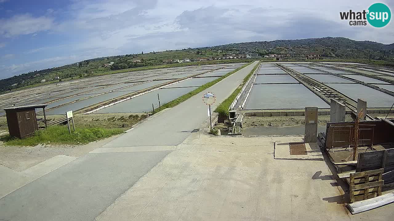 Sečovlje Salina Parque Natural