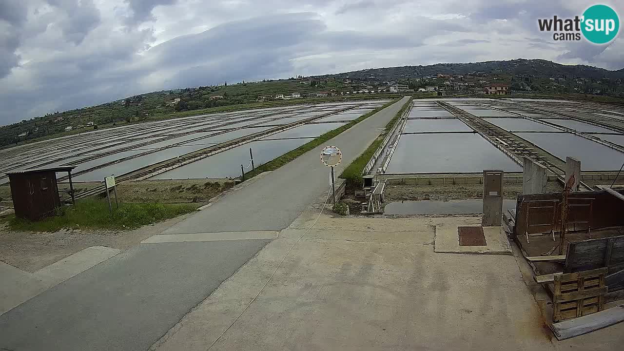 Sezza – Panorama e le saline