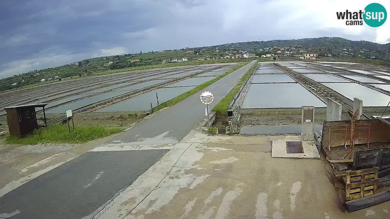 Seča – Panorama in soline