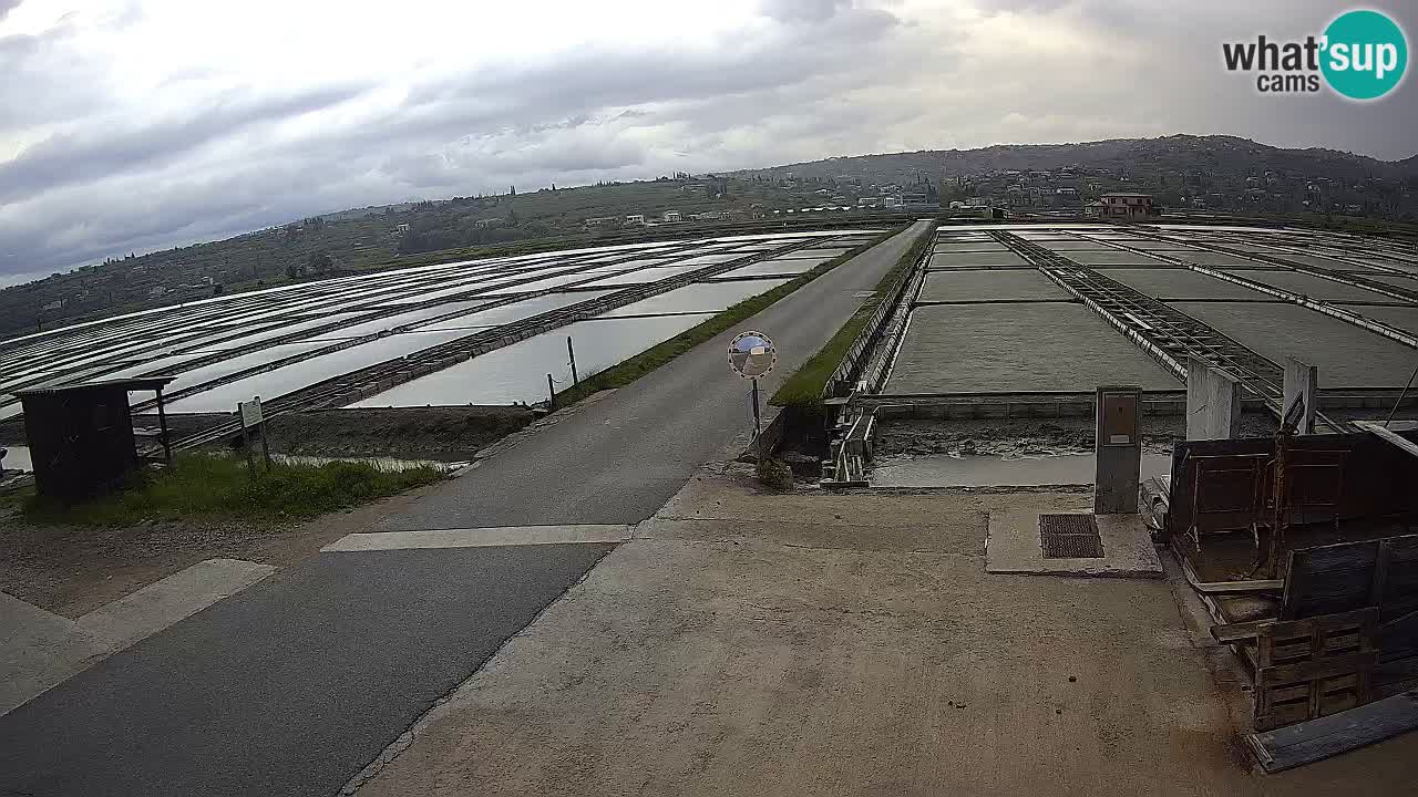 Sezza – Panorama e le saline