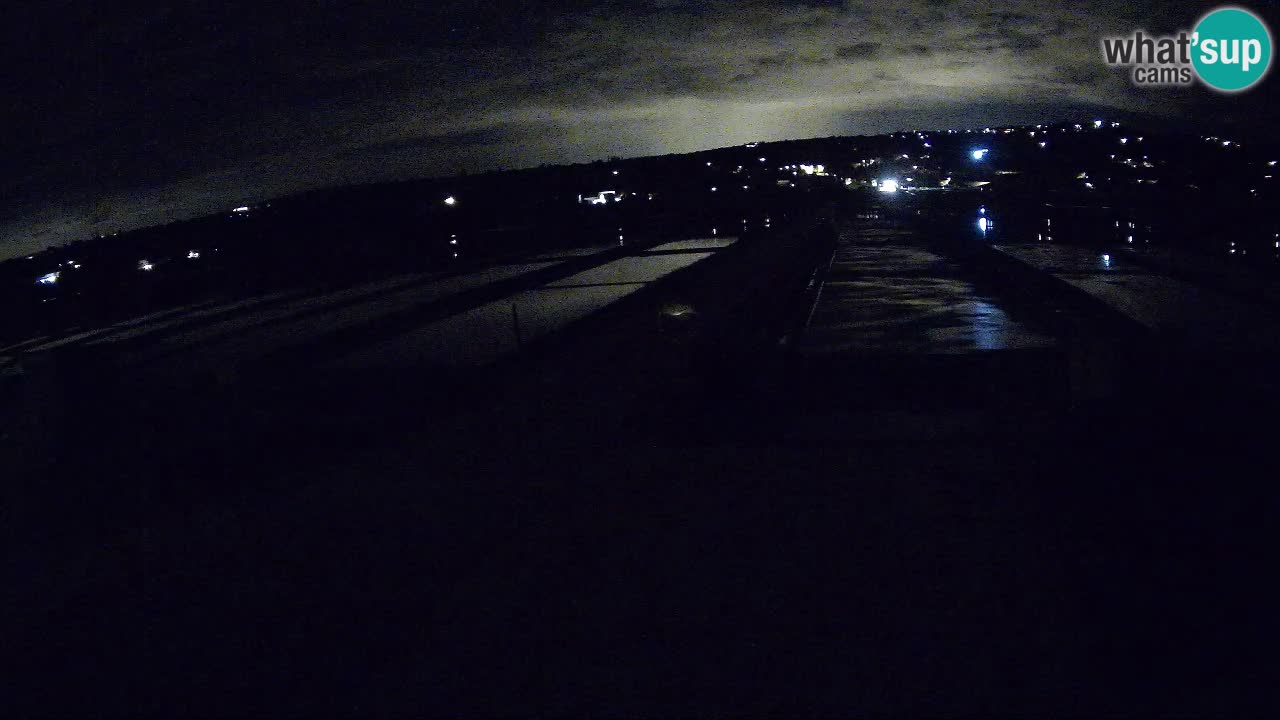Krajinski Park Sečoveljske Soline