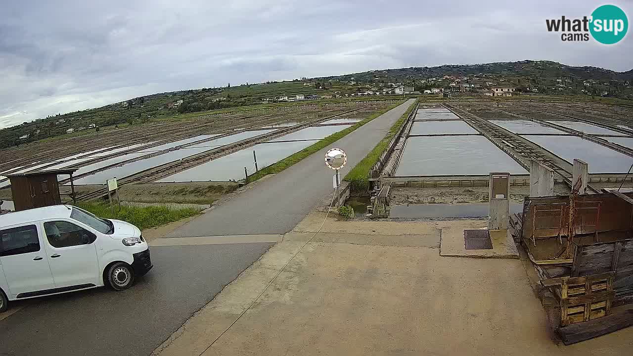 Sečovlje Salina Parque Natural