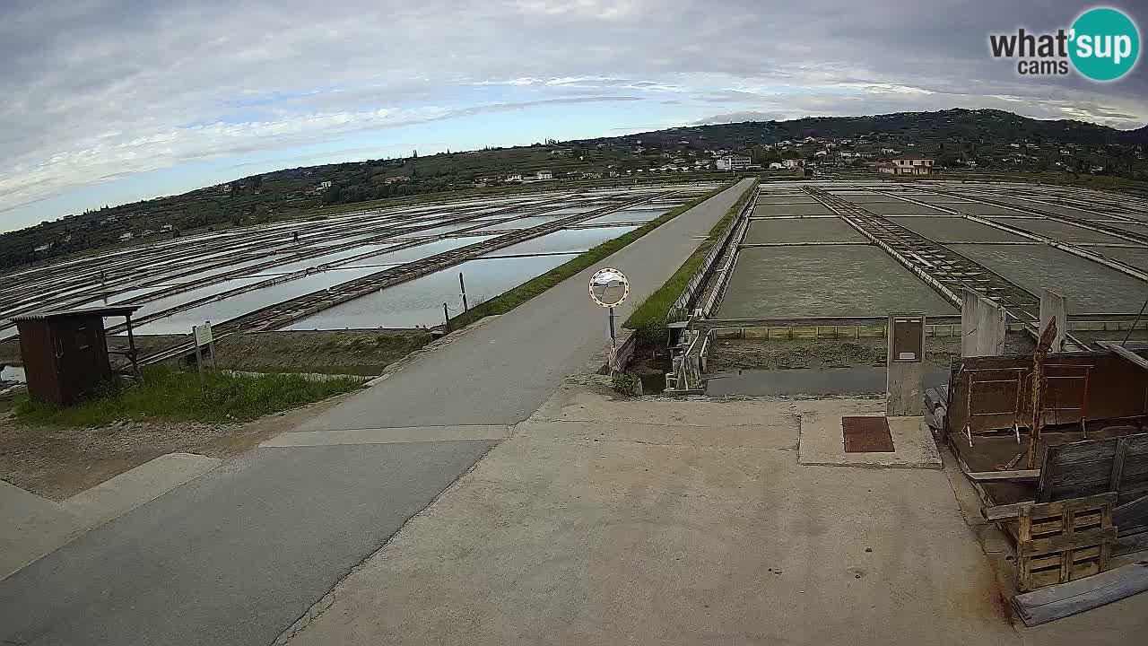Sečovlje Salina Parque Natural