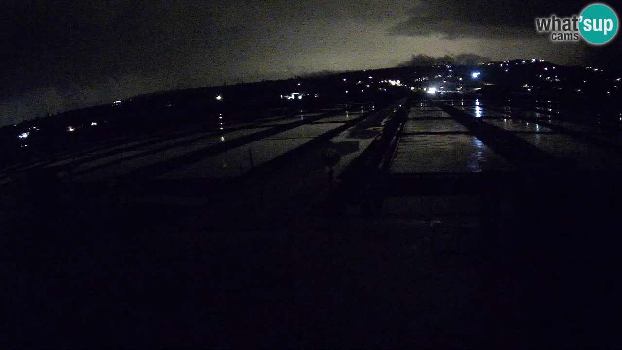 Park prirode Sečovlje Salina
