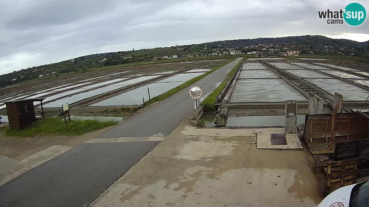 Krajinski Park Sečoveljske Soline