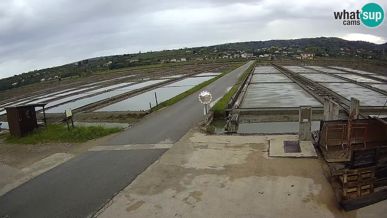 Krajinski Park Sečoveljske Soline