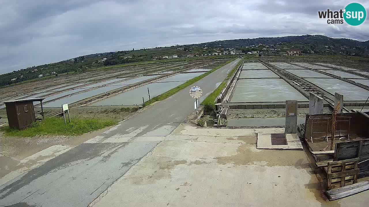 Sečovlje Salina Parque Natural