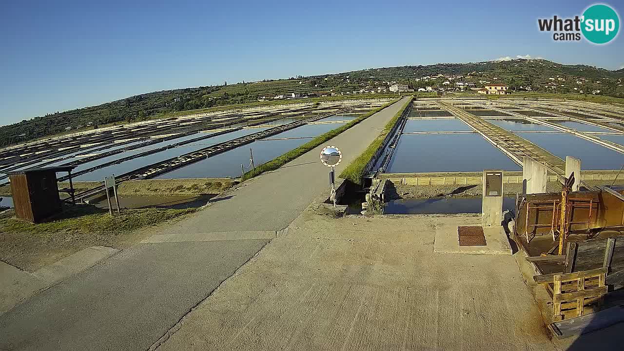 Sečovlje Salina Nature Park