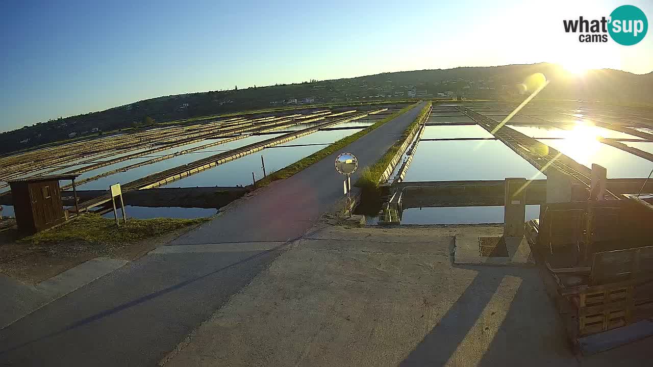 Krajinski Park Sečoveljske Soline