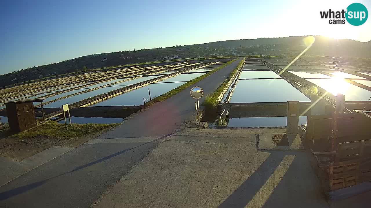 Sečovlje Salina Parque Natural