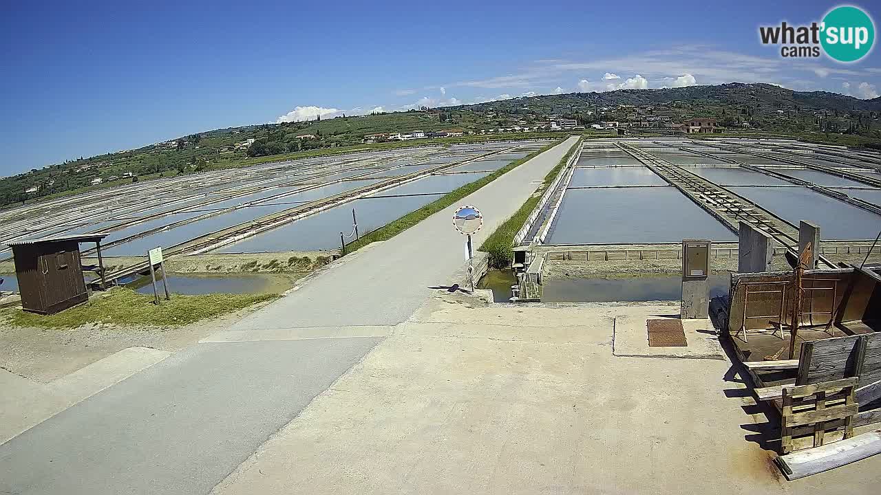 Sečovlje Salina Nature Park