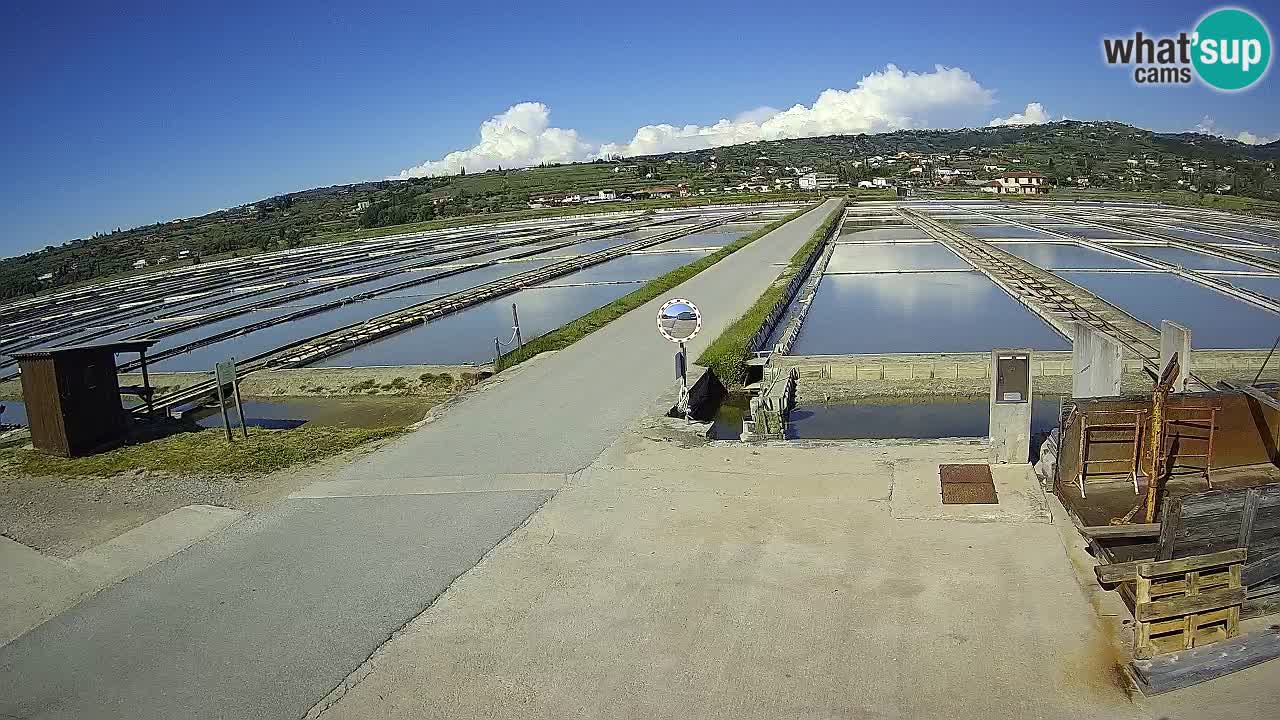 Krajinski Park Sečoveljske Soline