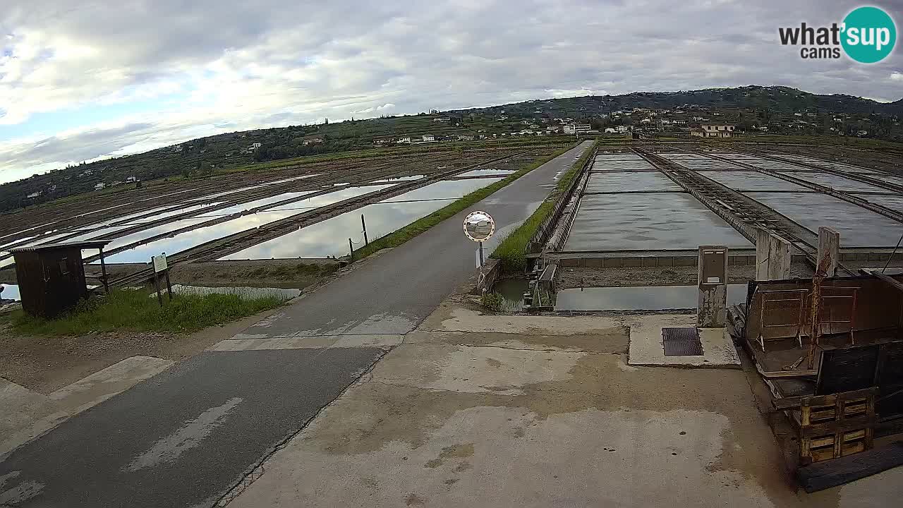 Sezza – Panorama e le saline