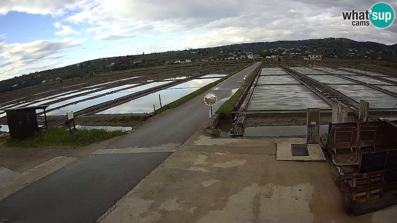 Sečovlje Salina Parque Natural