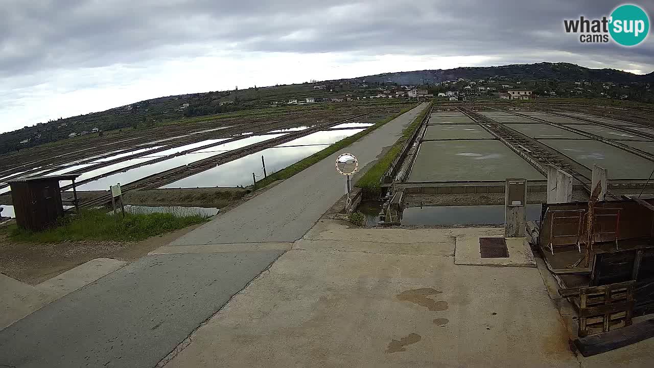 ﻿Sečovlje Salina Nature Park – KPSS