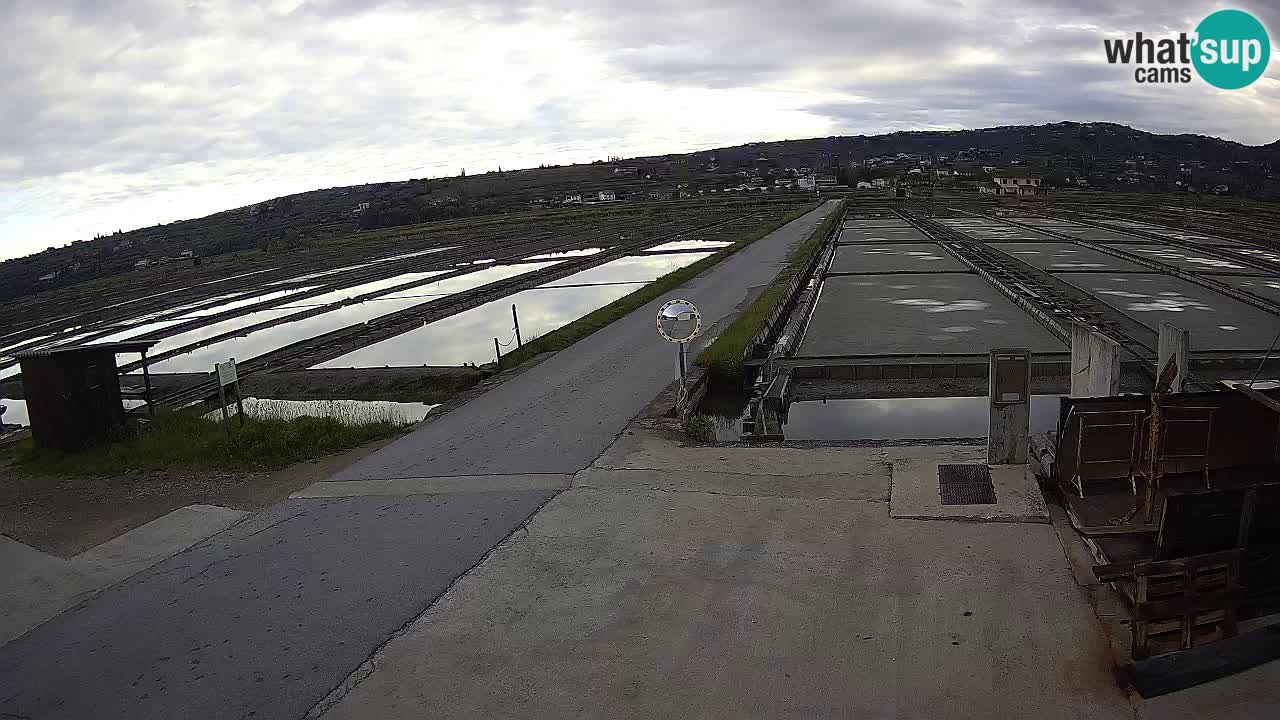 Sečovlje Salina Nature Park