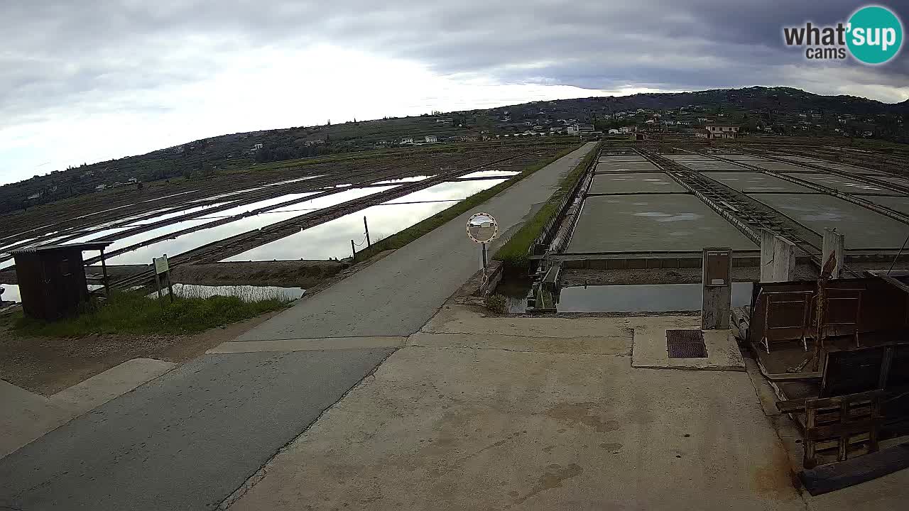 ﻿Sečovlje Salina Nature Park – KPSS