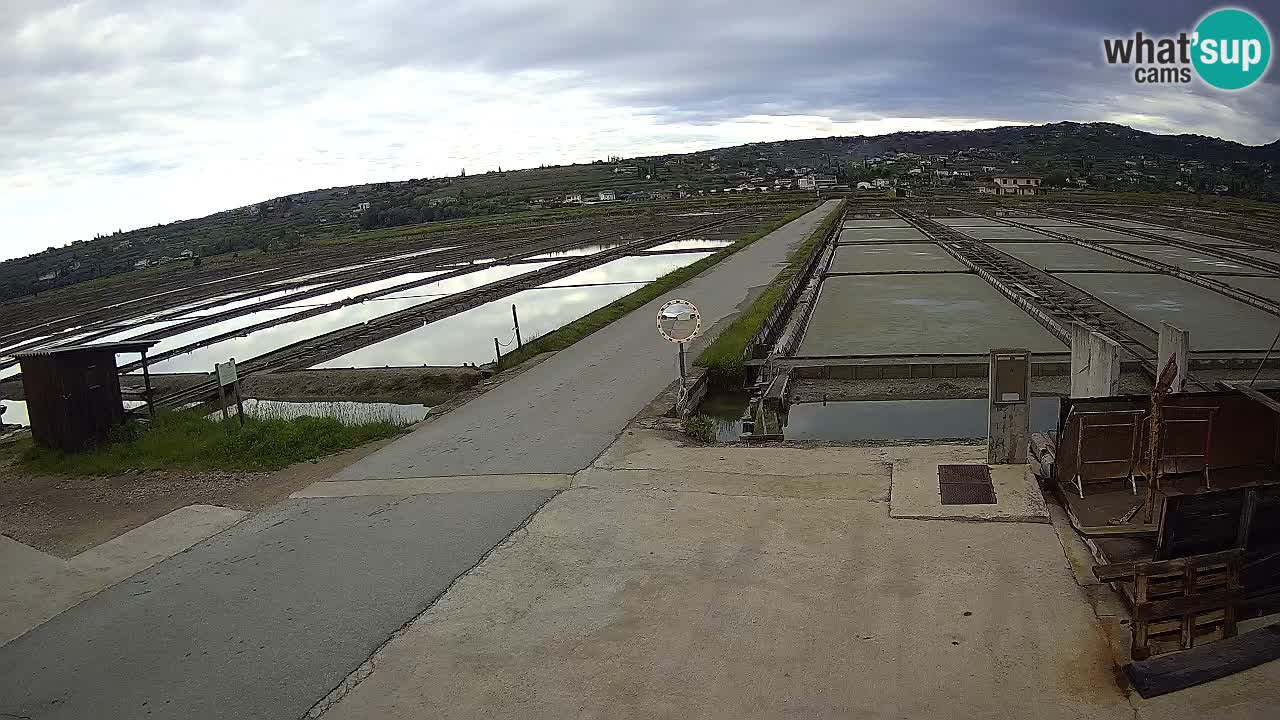 Park prirode Sečovlje Salina