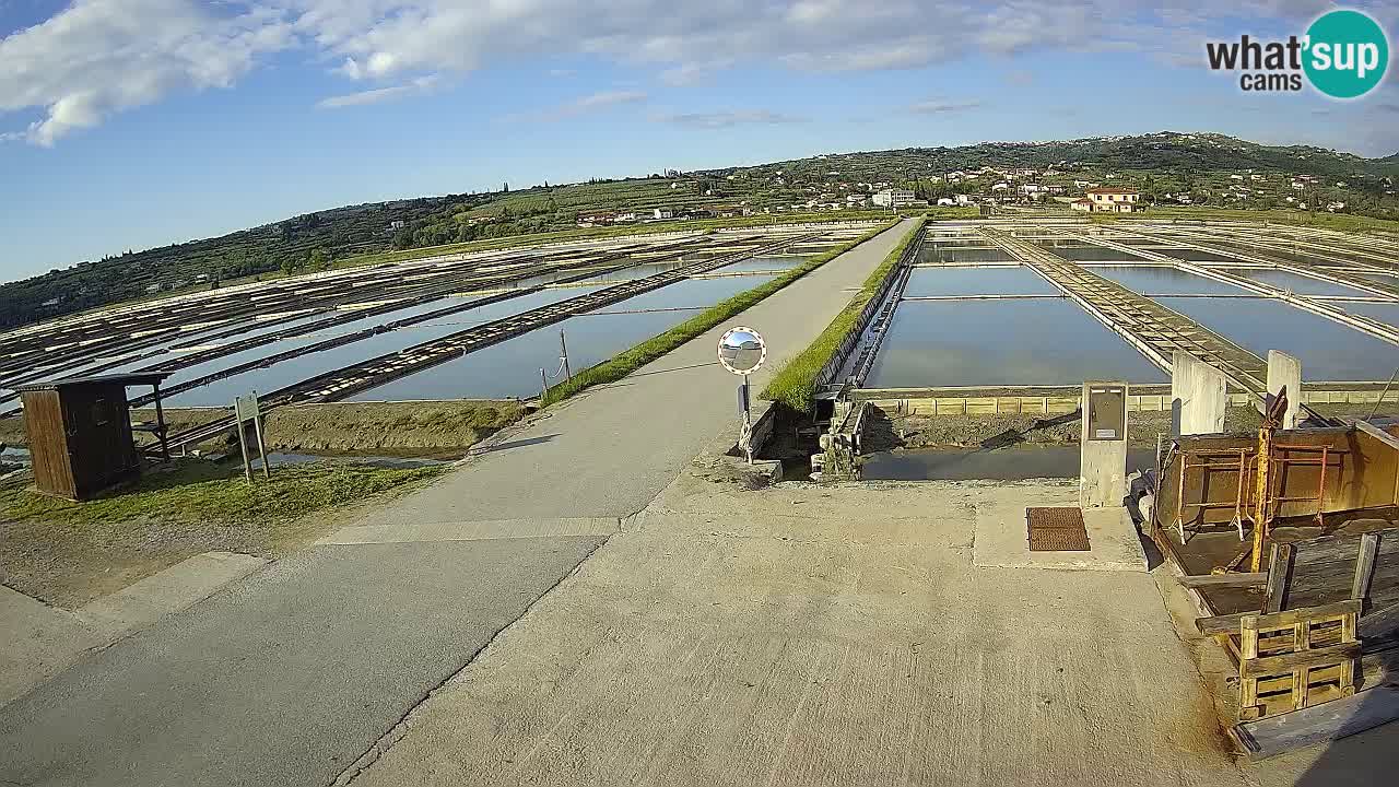 Sečovlje Salina Parque Natural