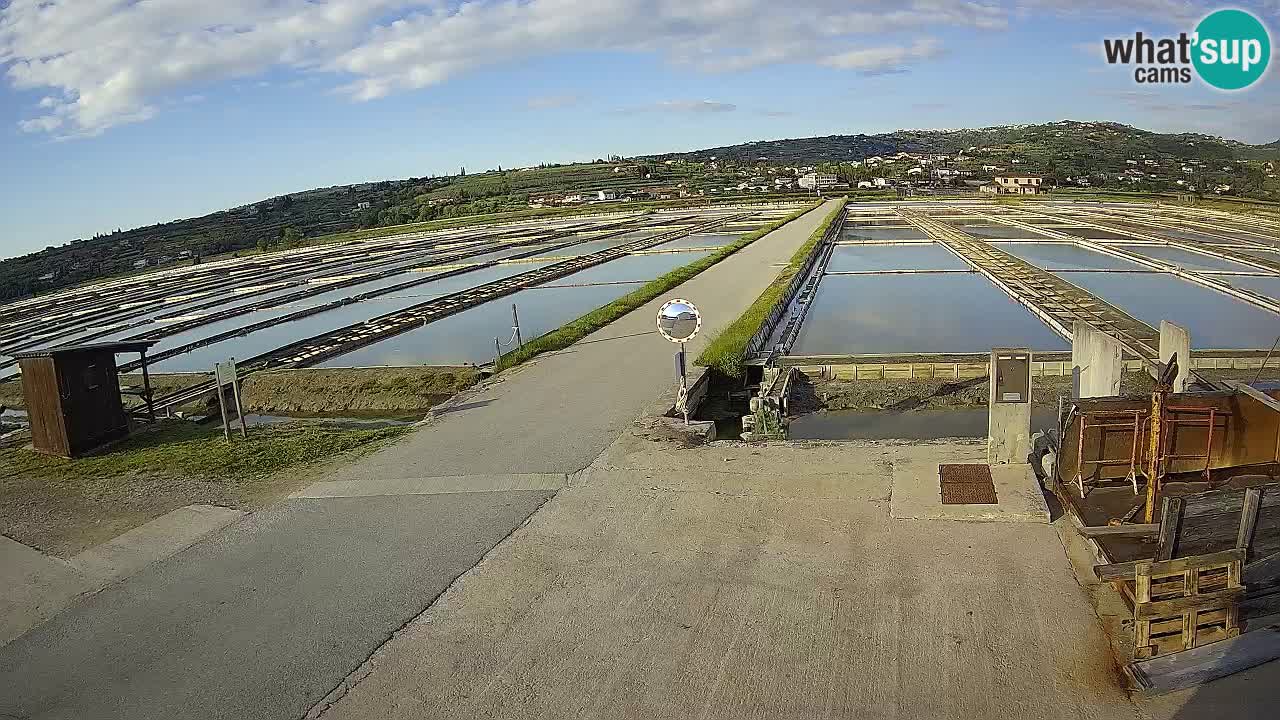 Sečovlje Salina Parque Natural