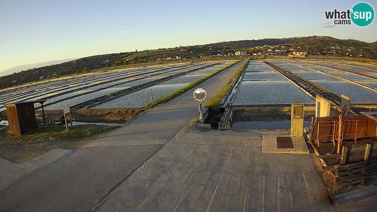 Krajinski Park Sečoveljske Soline