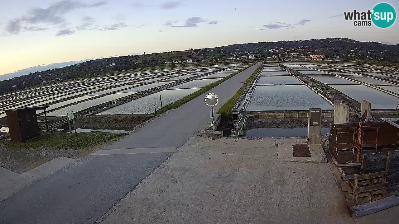 Sezza – Panorama e le saline