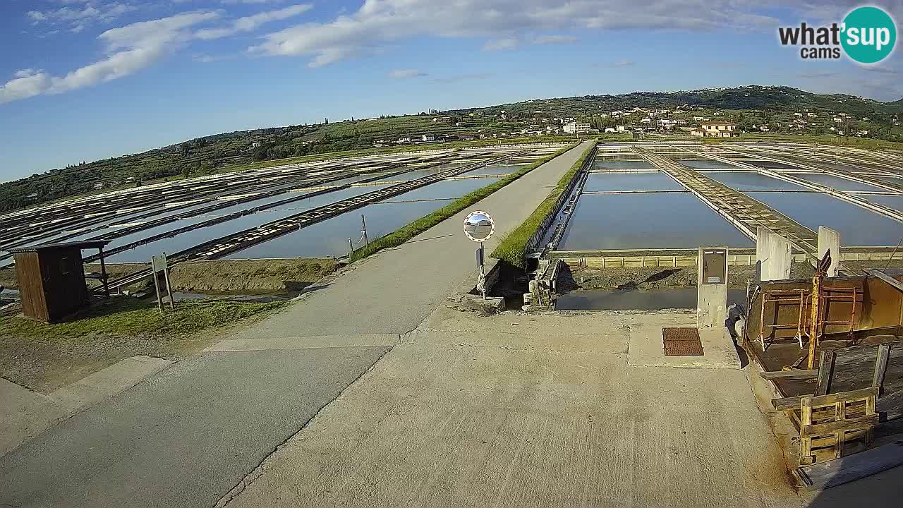 Krajinski Park Sečoveljske Soline