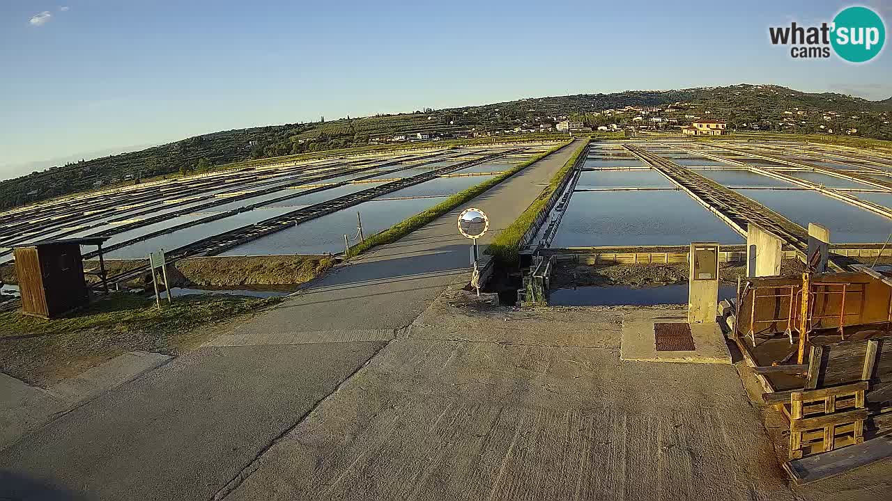 Krajinski Park Sečoveljske Soline