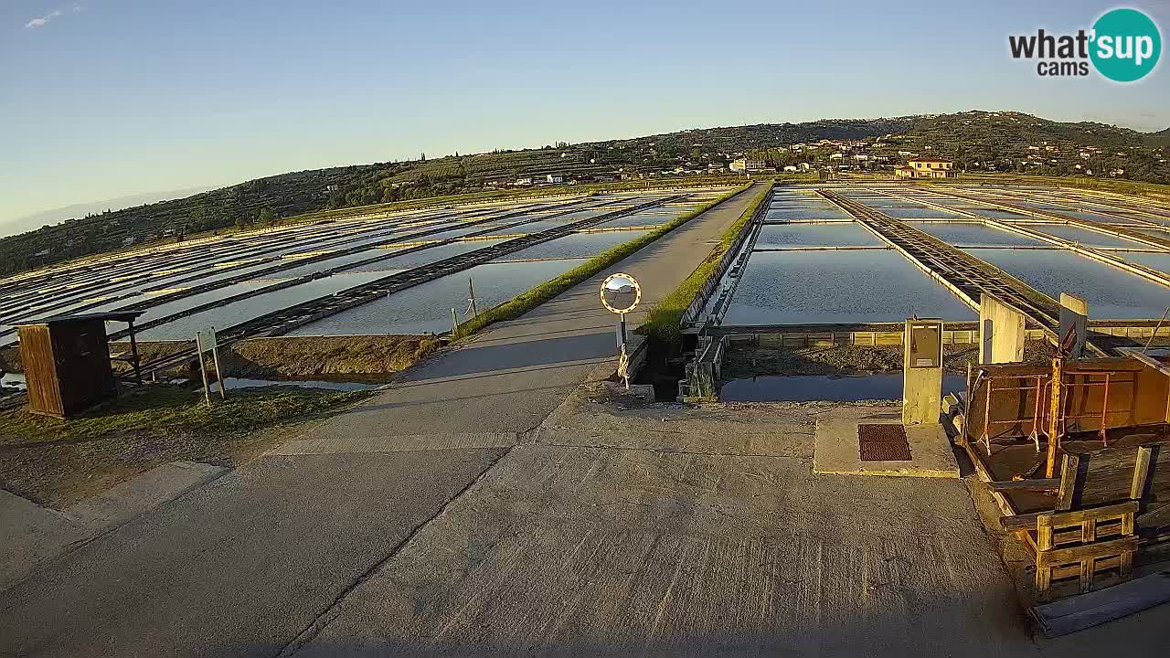 Park prirode Sečovlje Salina