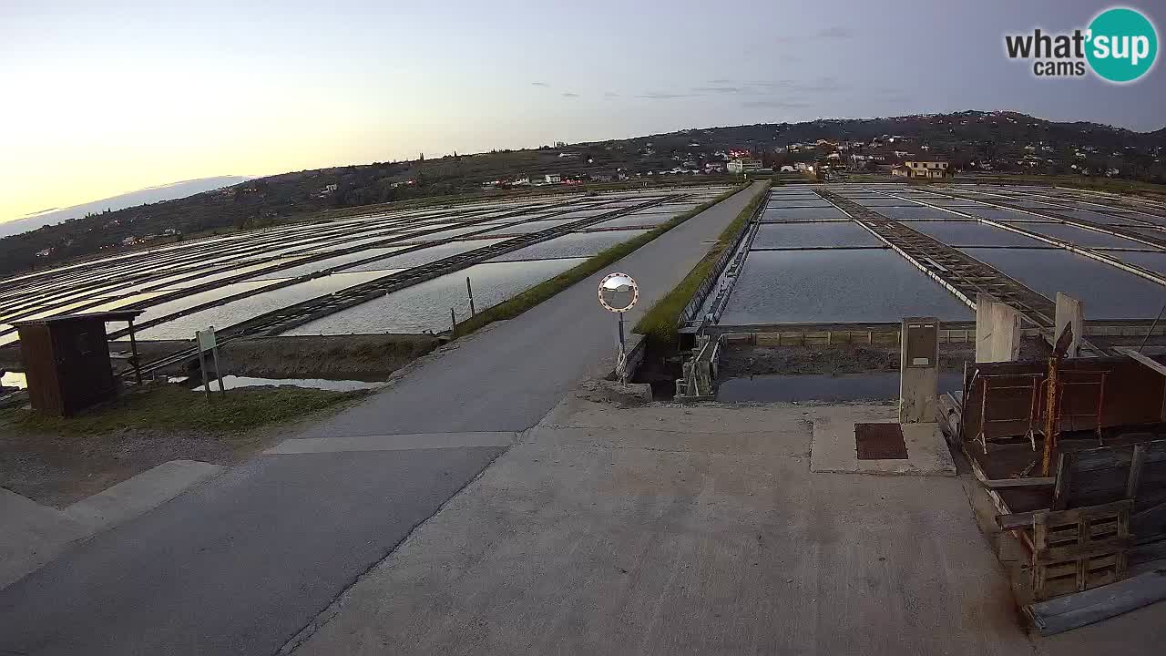 Sečovlje Salina Parque Natural
