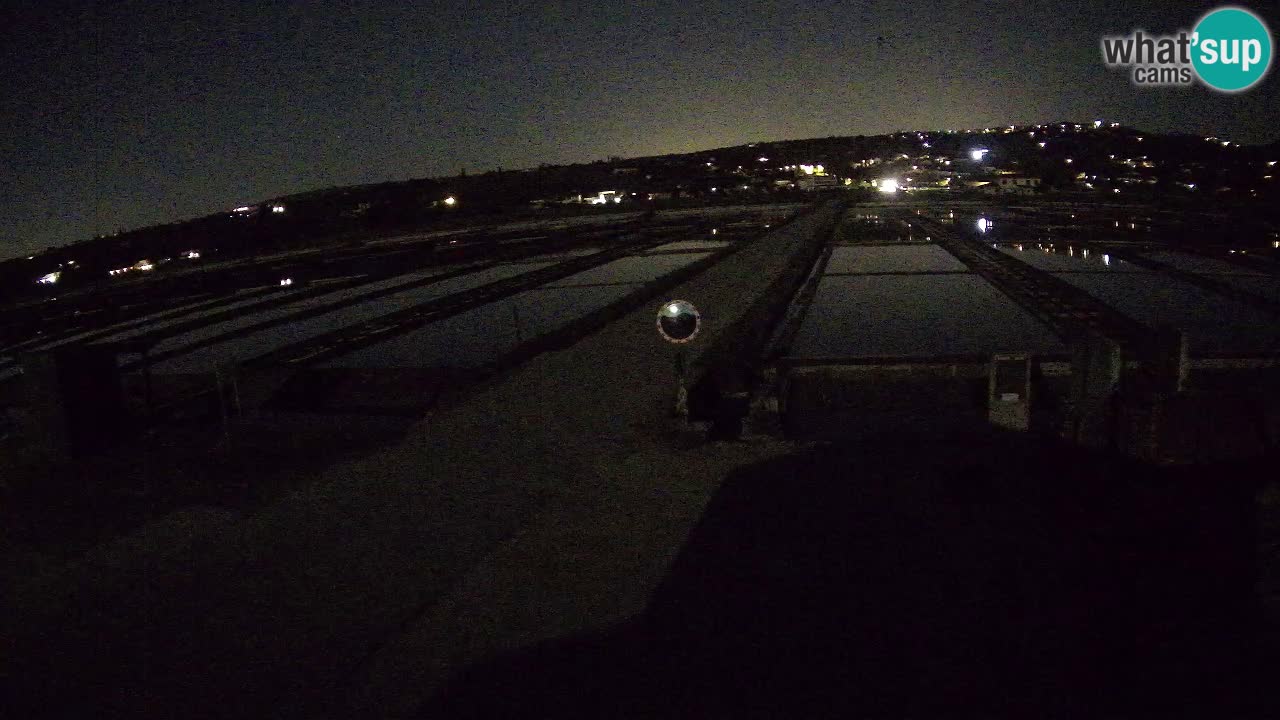 Krajinski Park Sečoveljske Soline