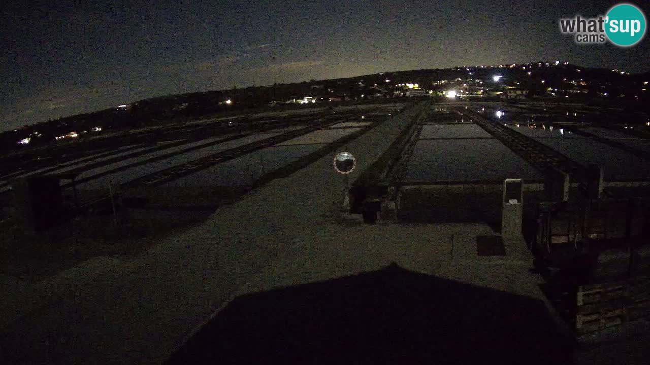 Krajinski Park Sečoveljske Soline