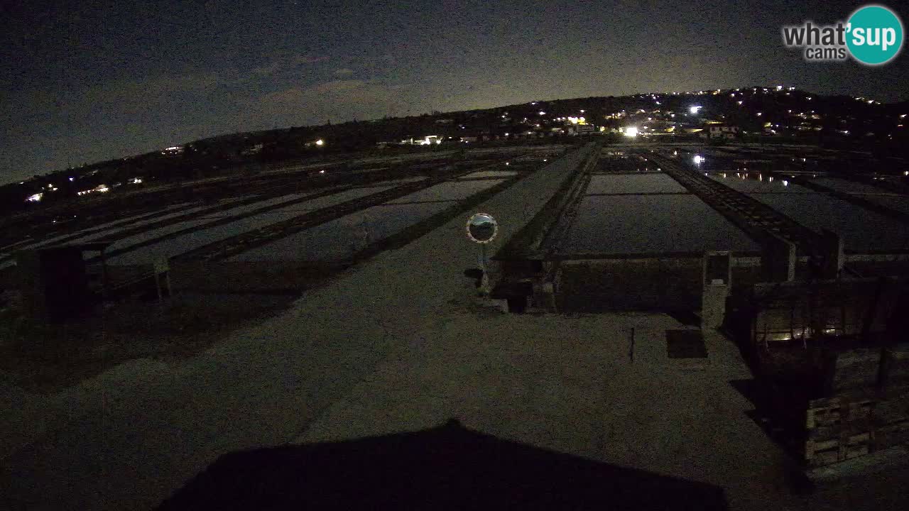 Krajinski Park Sečoveljske Soline