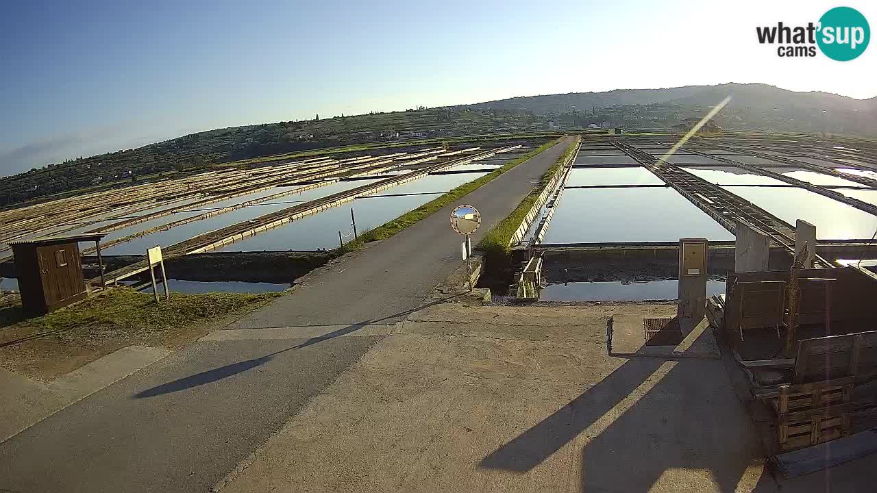 Naturpark der Salinen von Sečovlje