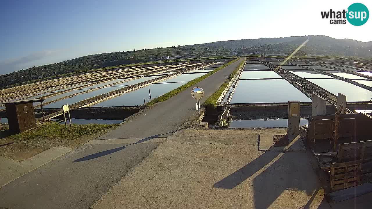 ﻿Sečovlje Salina Nature Park – KPSS