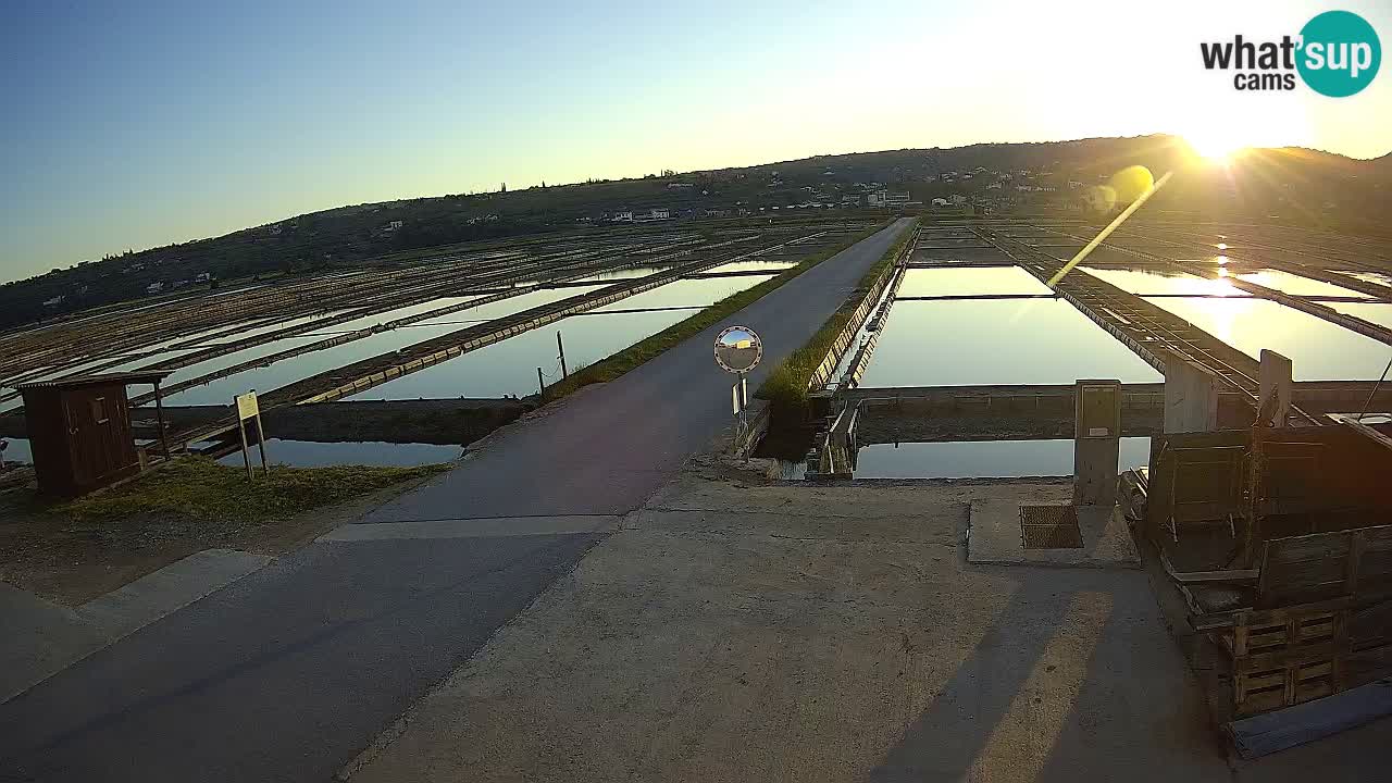 Krajinski Park Sečoveljske Soline