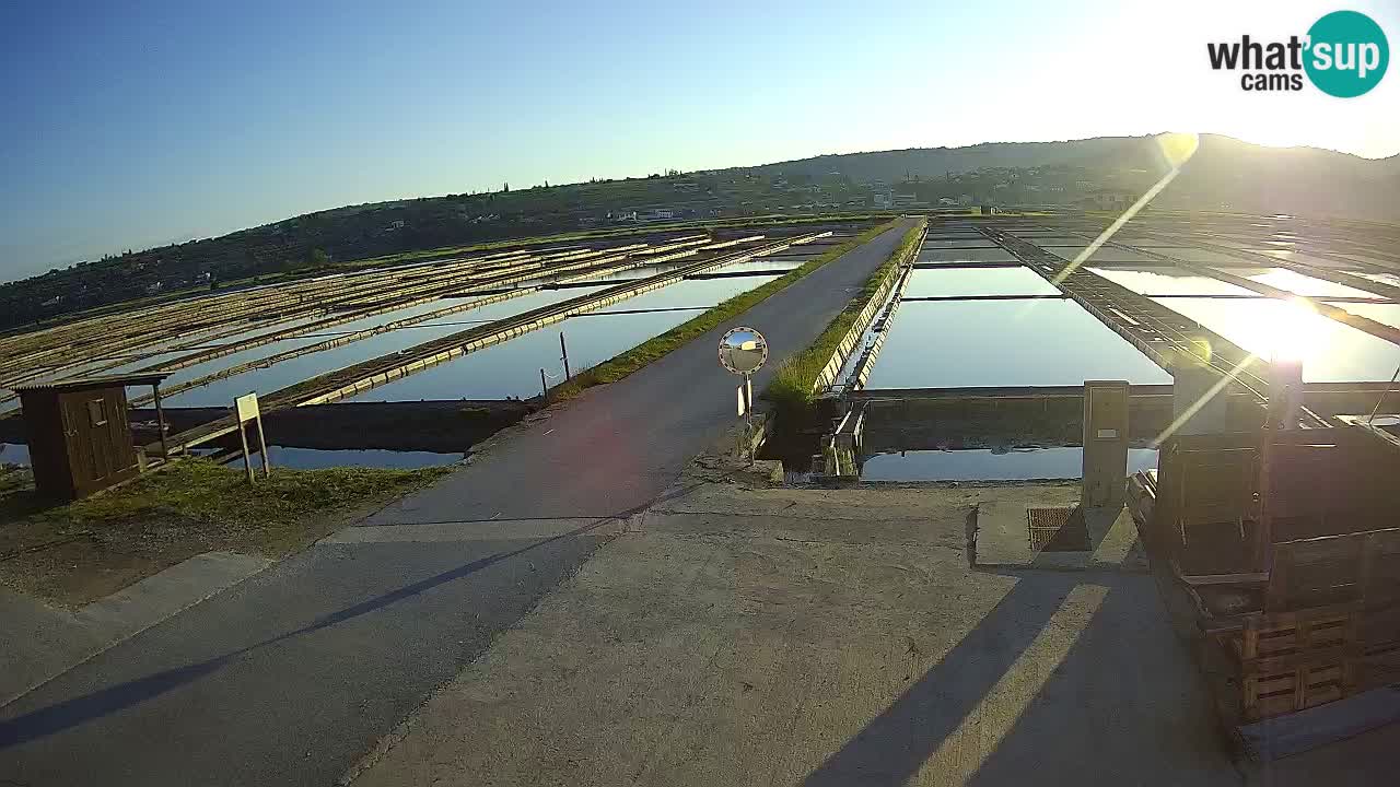 Sečovlje Salina Nature Park