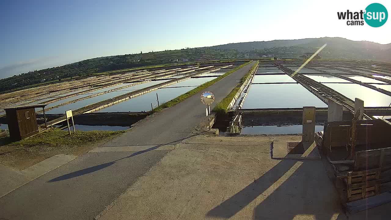 Park prirode Sečovlje Salina