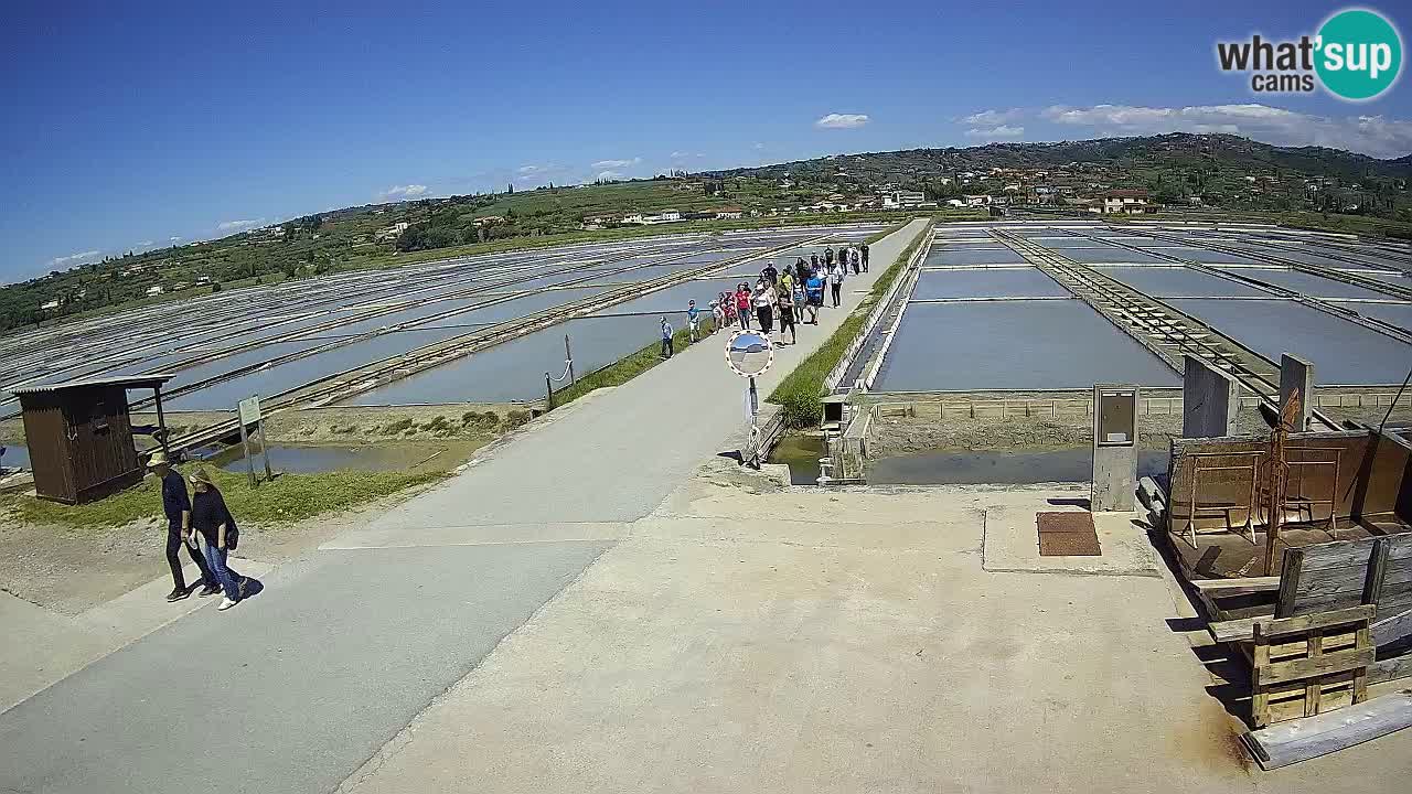 Sečovlje Salina Parque Natural