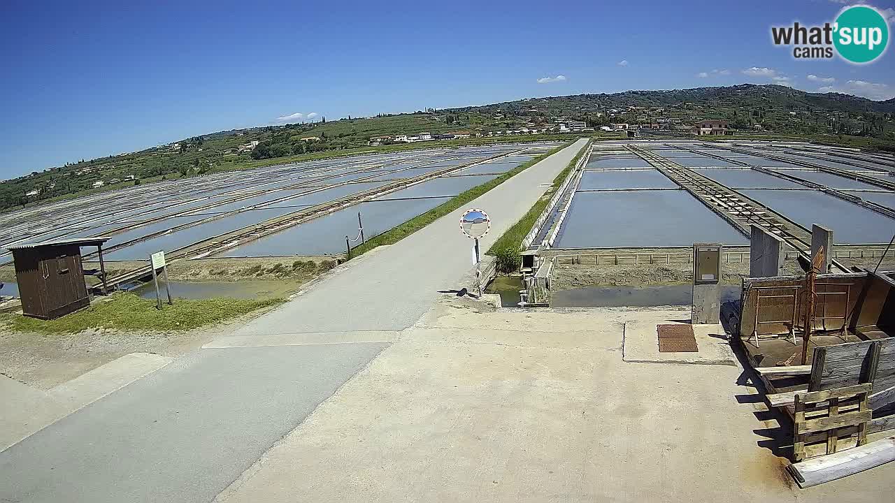 Sezza – Panorama e le saline