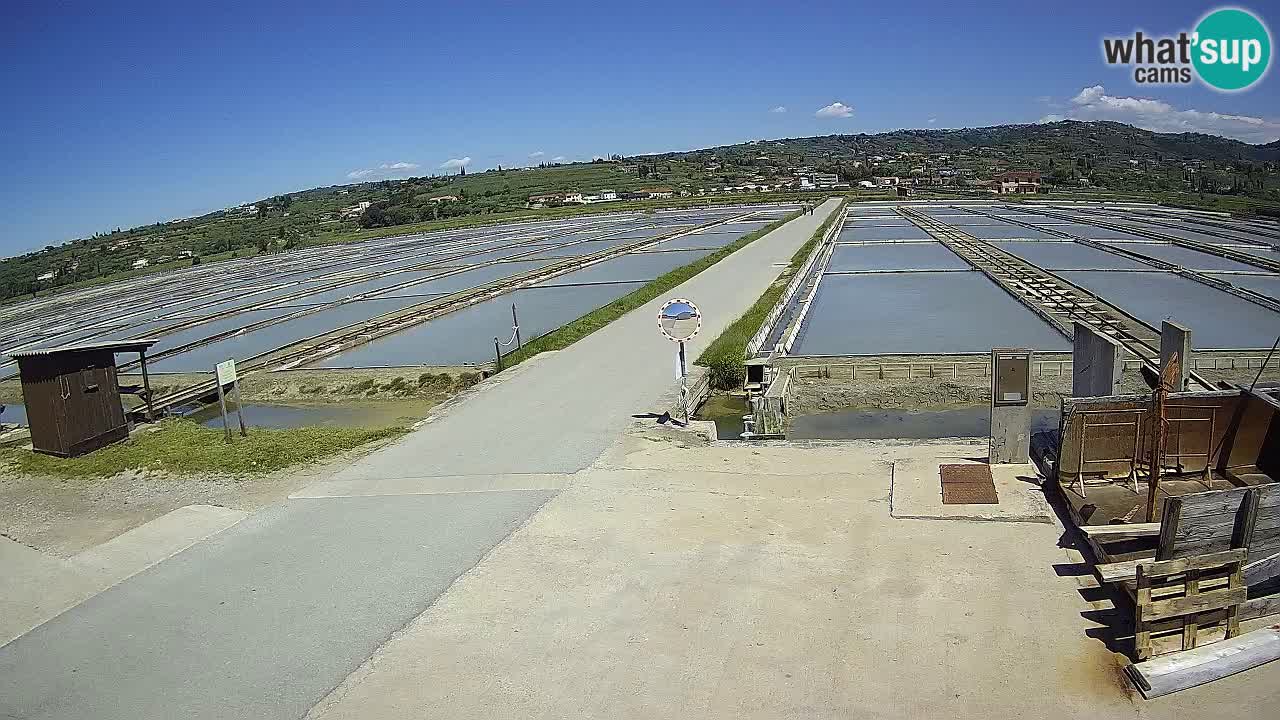 Parco Naturale Saline di Sicciole