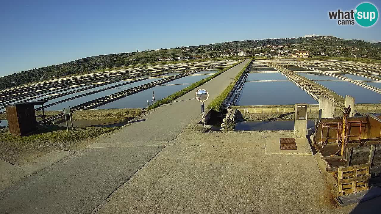 Park prirode Sečovlje Salina