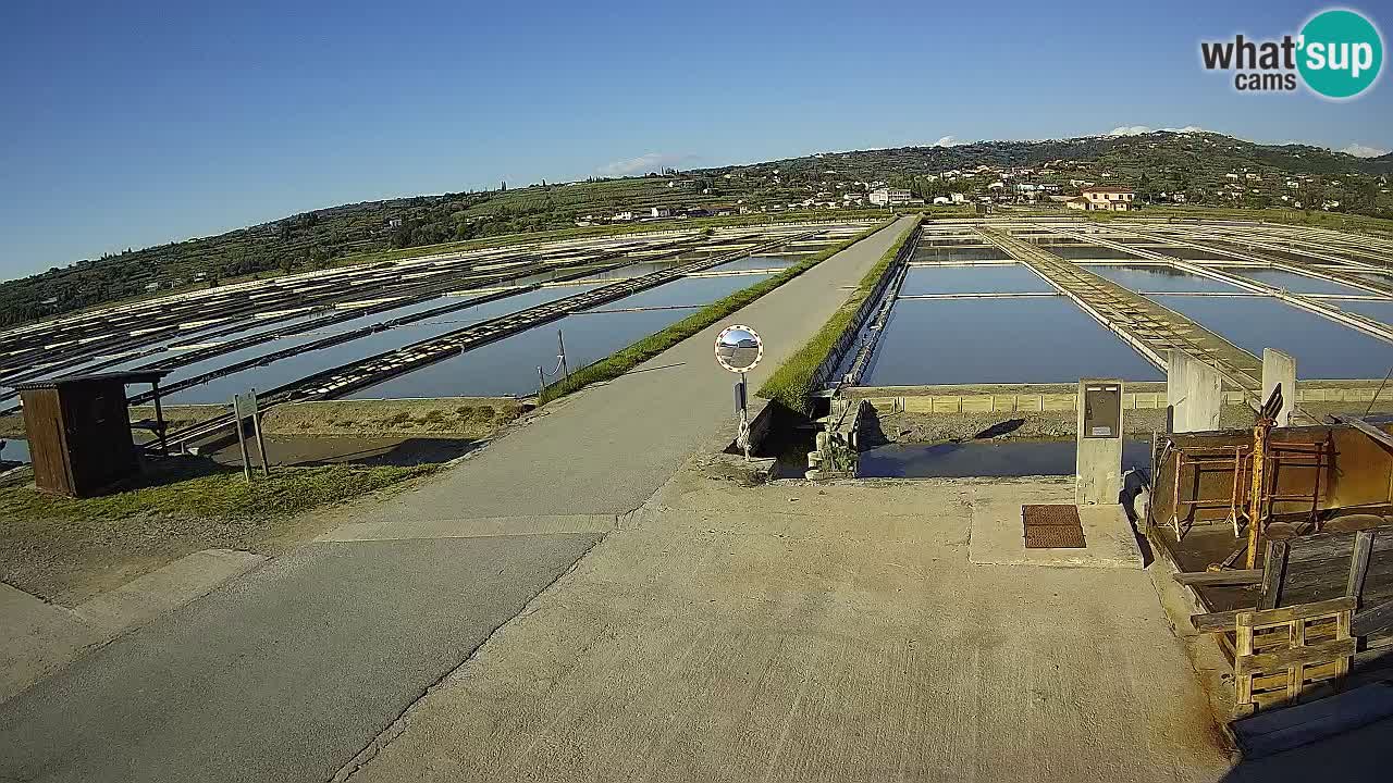 Sečovlje Salina Parque Natural