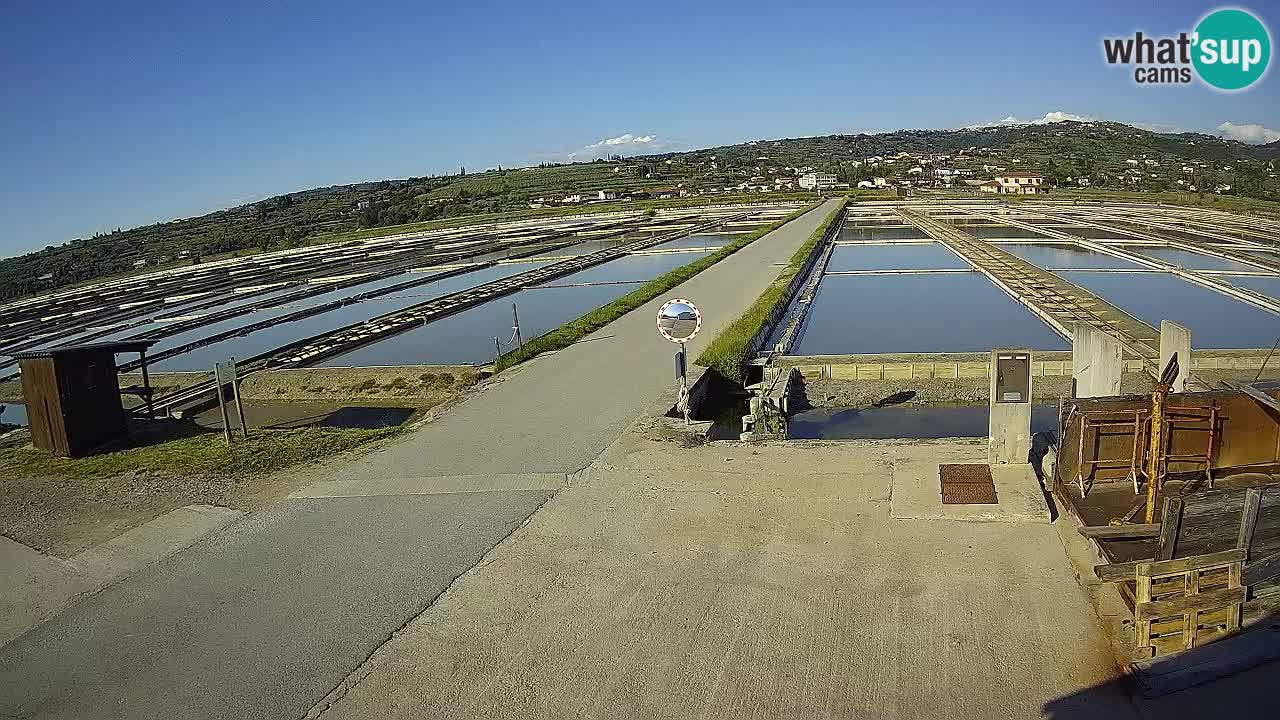Sečovlje Salina Parque Natural