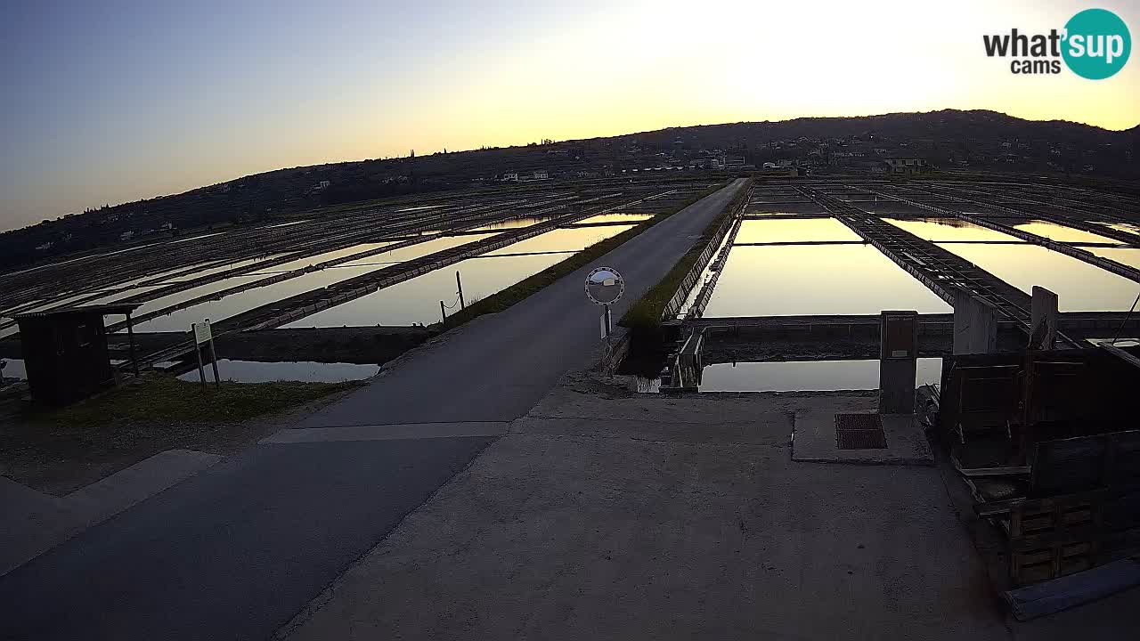 Sečovlje Salina Parque Natural
