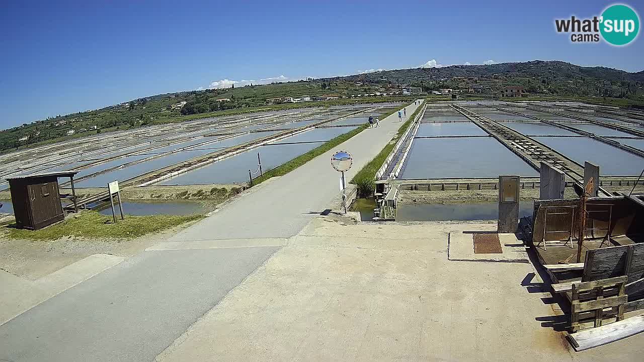 Sezza – Panorama e le saline